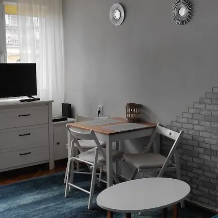 A.g-apartamenty Centrum 公寓 *